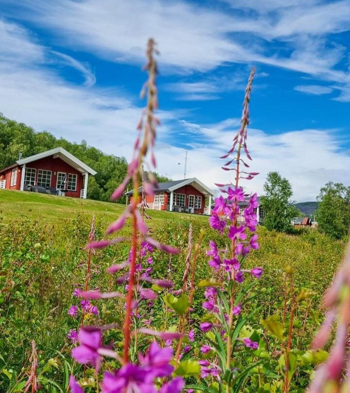 Levajok Fjellstue Adventures