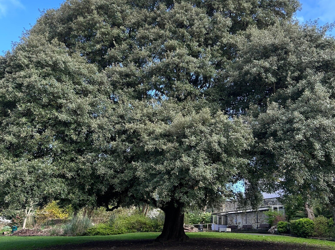 Victoria Gardens-特鲁罗必去景点