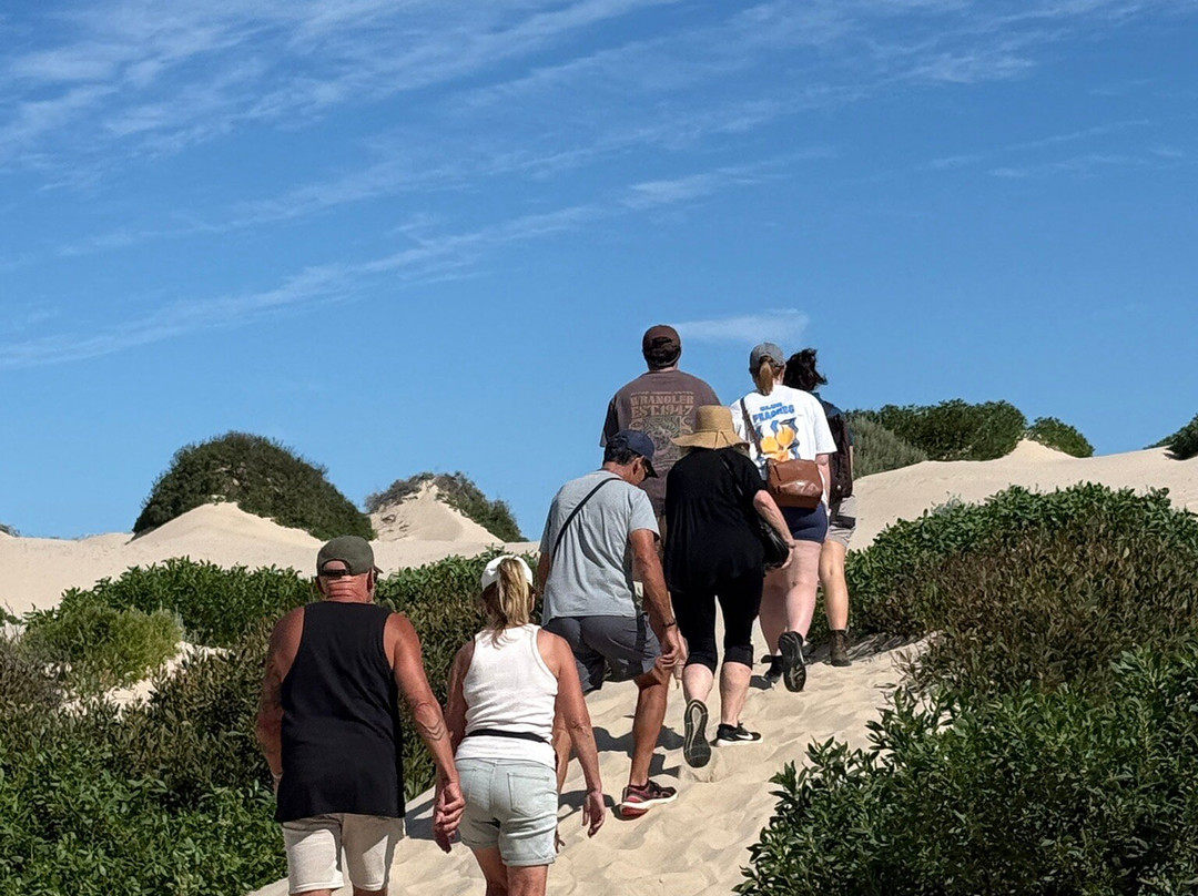 Spirit of the Coorong Cruises-Goolwa必去景点