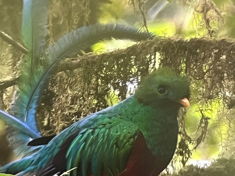 Pacific Trade Winds-Nuevo Arenal必去景点