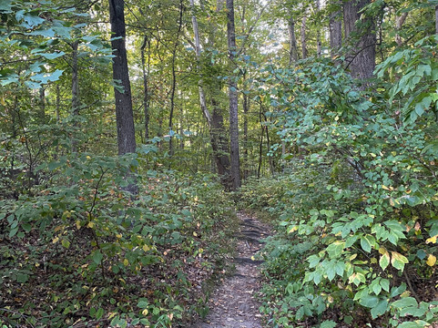 Blackhand Gorge State Nature Preserve-Newark必去景点