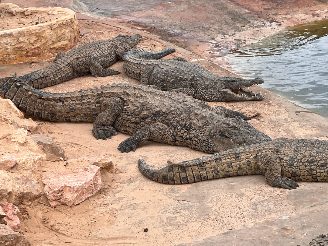 Djerba Golf Resort & Spa