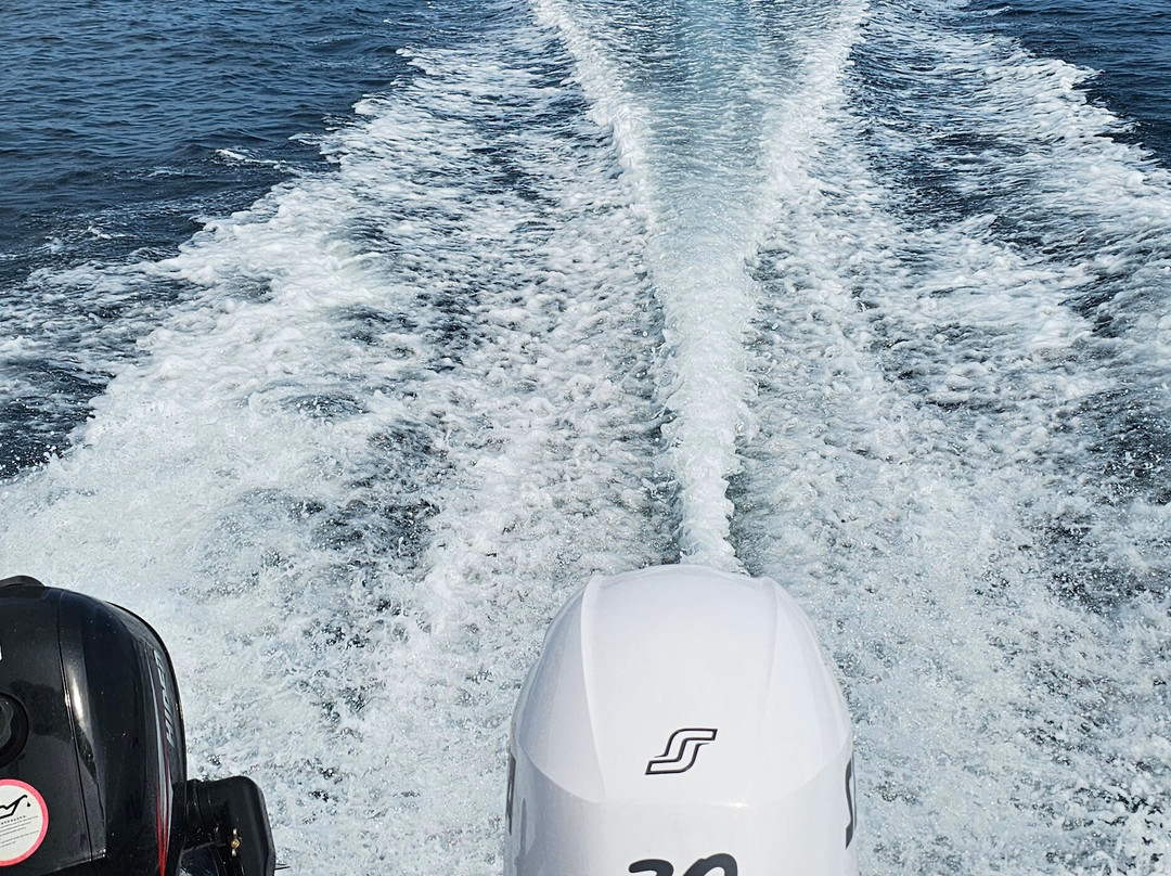 Bliss Rental Boats-新派拉莫斯必去景点