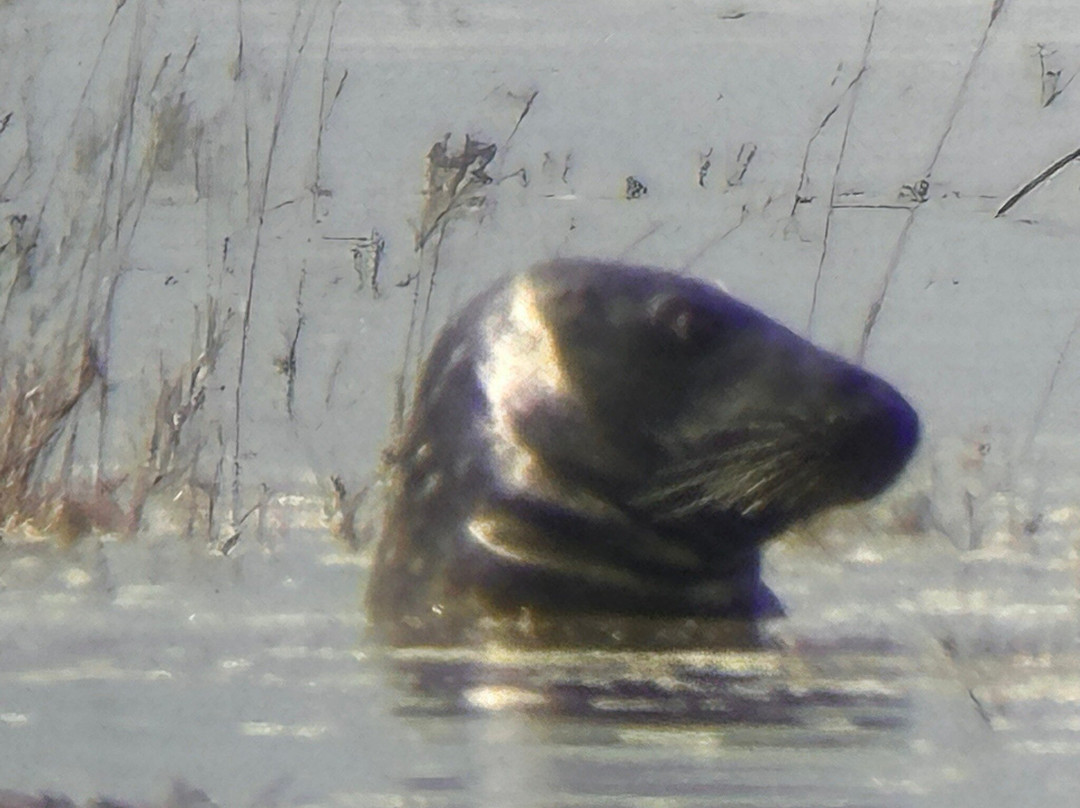 Visiter la baie de Somme-Fort-Mahon-Plage必去景点
