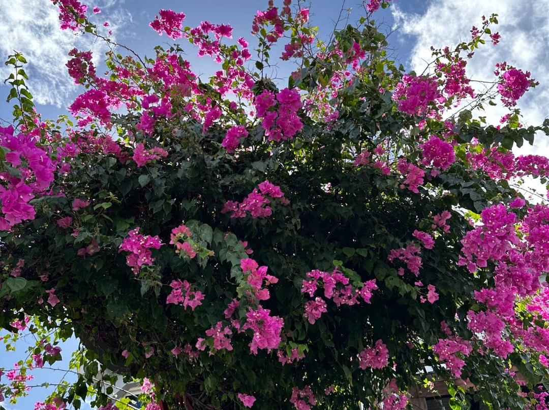 曼奎伊尔酒店主图