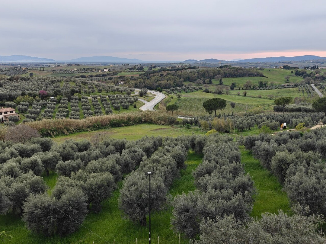 Agriturismo Lo Scalandrino 农家乐主图