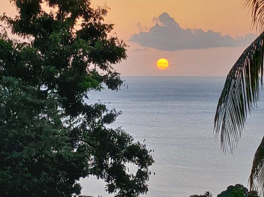 Le Jardin Tropical主图