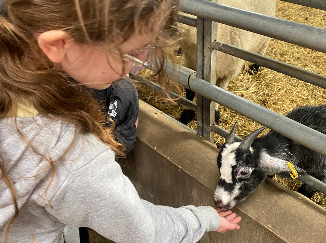 Walby Farm Park-Crosby on Eden必去景点