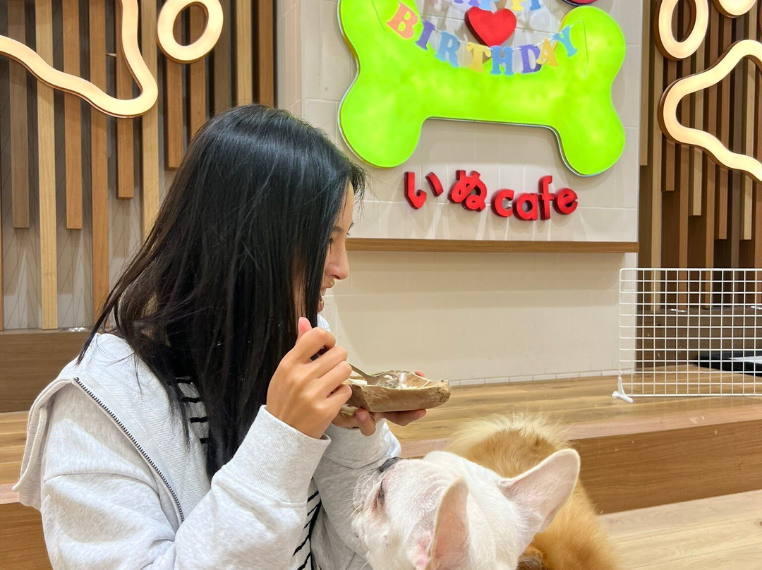 Puppy Cafe Rio Kamakura Komachidori-镰仓市必去景点