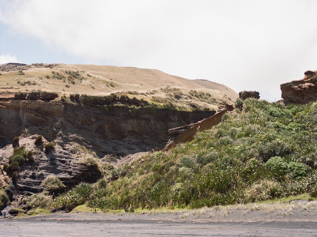 Kariotahi Beach-Waiuku必去景点