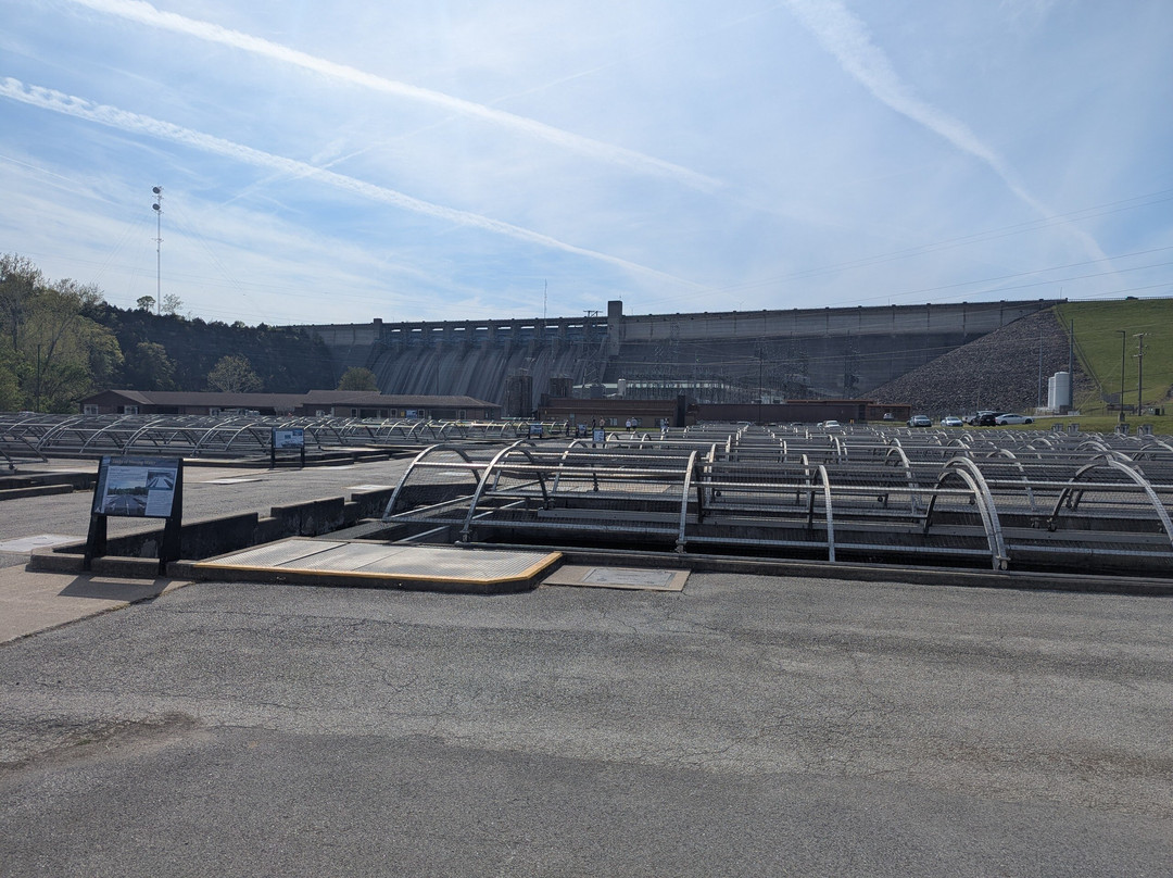 Shepherd of the Hills Fish Hatchery-布兰森必去景点