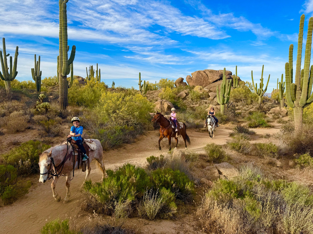 Wild West Horse Adventures-斯科茨代尔必去景点