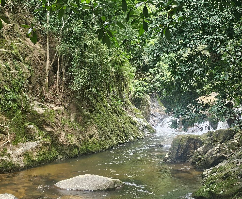 Cachoeira Pedro David-圣若泽杜斯坎普斯必去景点