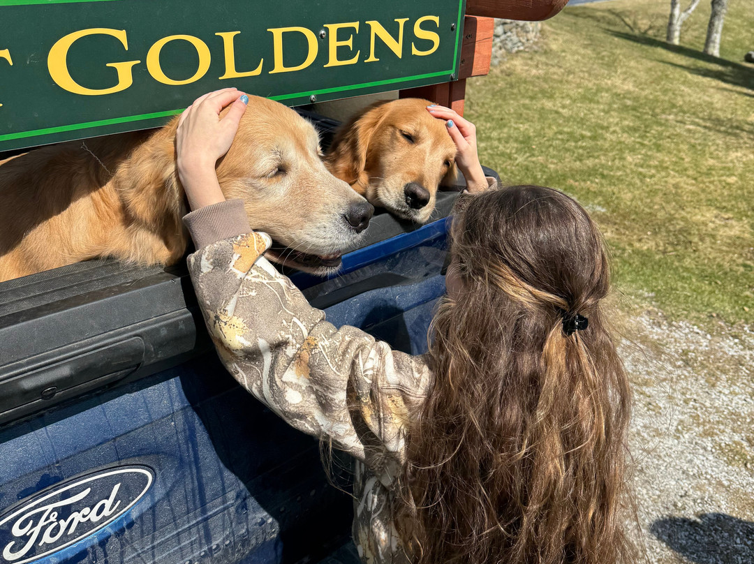 Golden Dog Farm-Jeffersonville必去景点