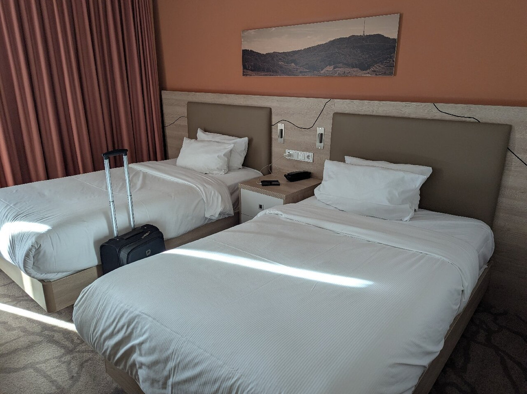 希尔顿欢朋酒店 弗赖堡主图