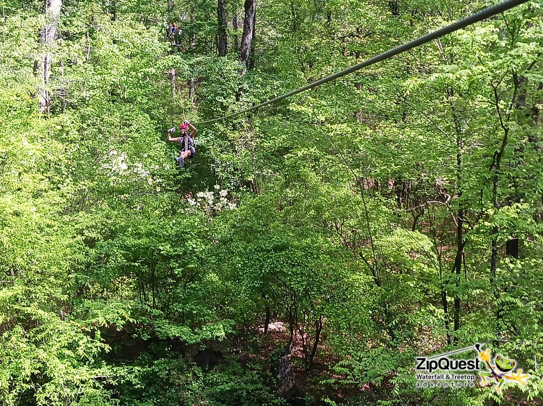 ZipQuest Waterfall & Treetop Adventure-费耶特维尔必去景点
