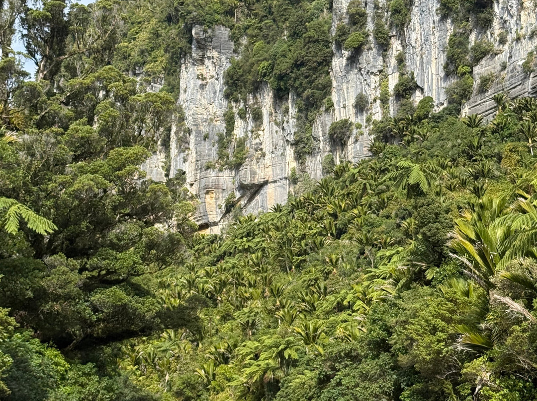 ZigZag Tours NZ-新普利默斯必去景点