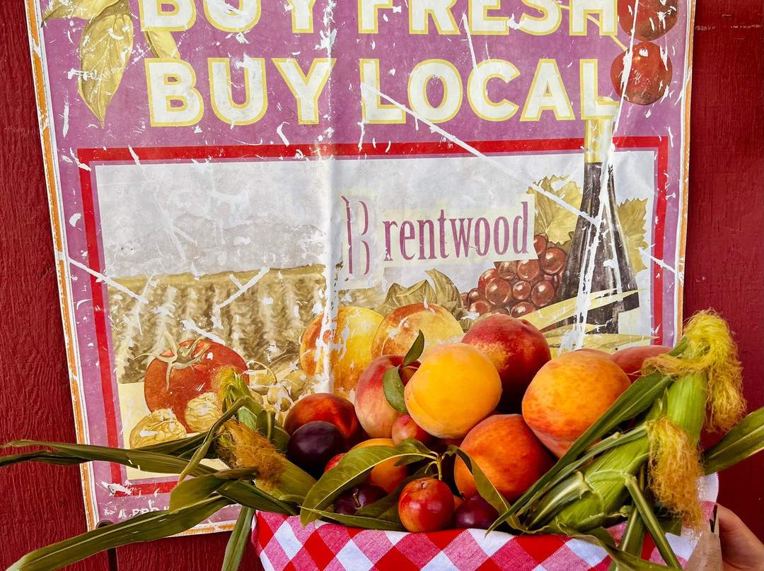 The Farmers Daughter Produce