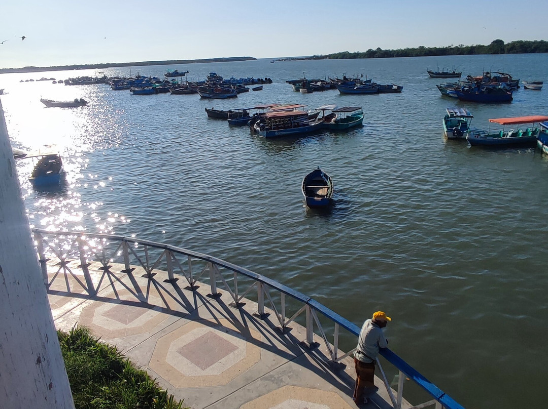 Los Manglares de Puerto Pizarro-Tumbes必去景点