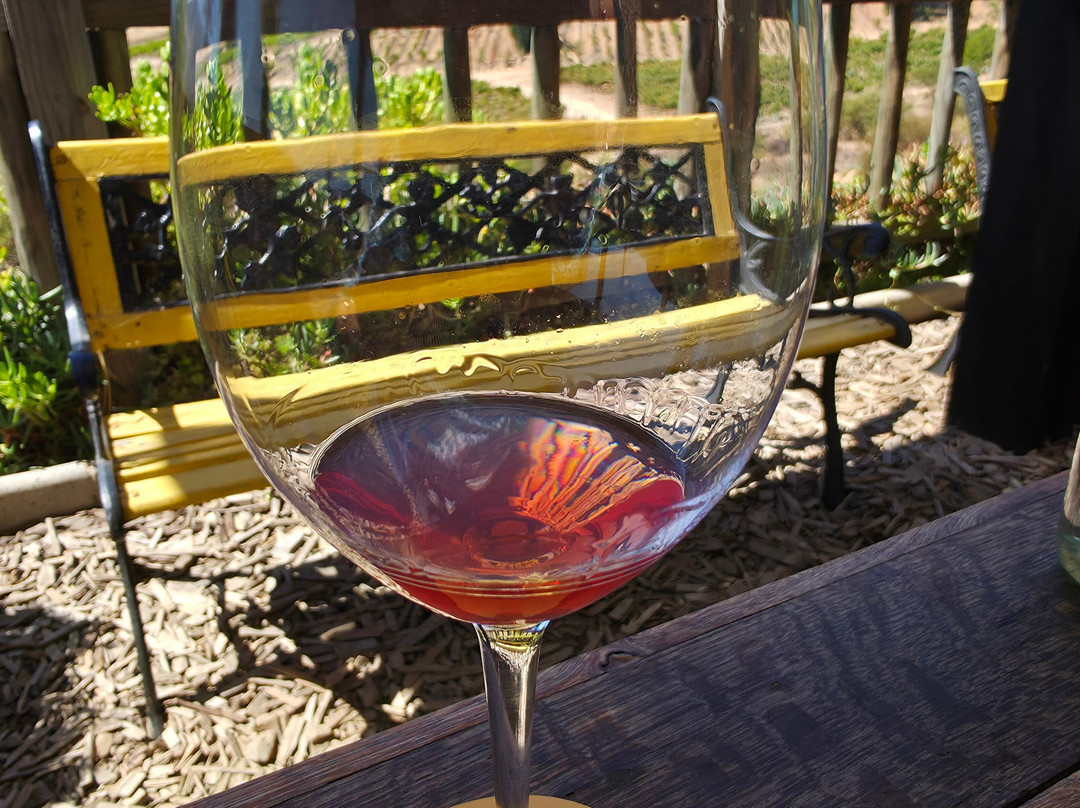 Villard Fine Wines-卡萨布兰卡必去景点