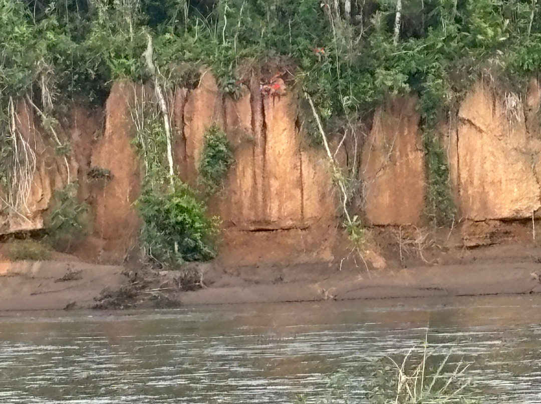 Finca Sachavacayoc lodge主图