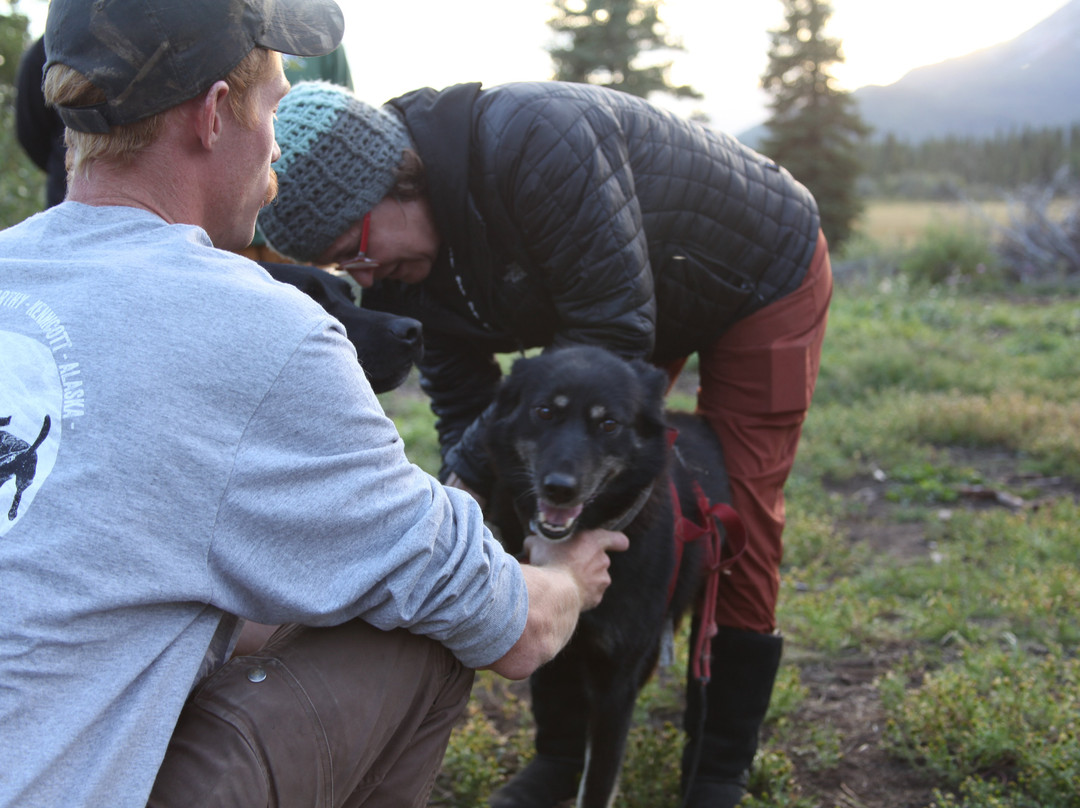 Waylon's Way Dog Sledding-McCarthy必去景点