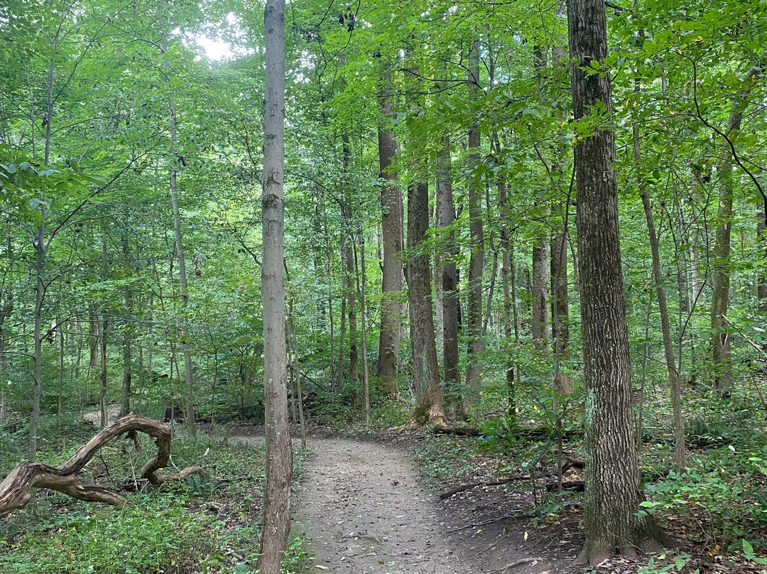 F.A. Seiberling Nature Realm-阿克伦必去景点
