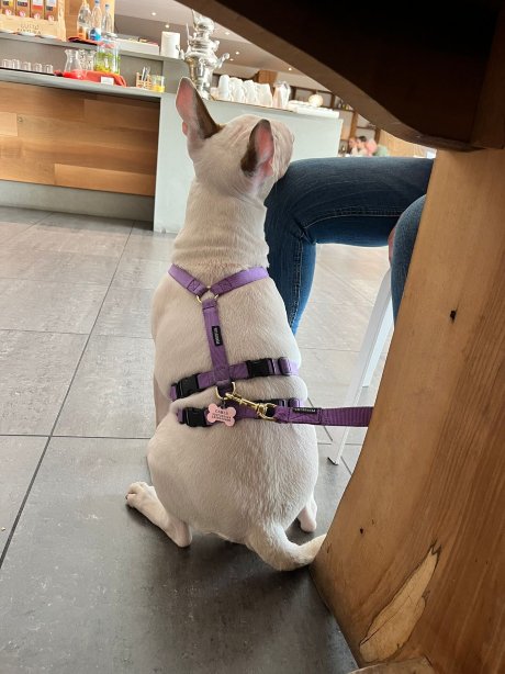 UNA HOTELS Le Terrazze Treviso Hotel & Residence-旅行者