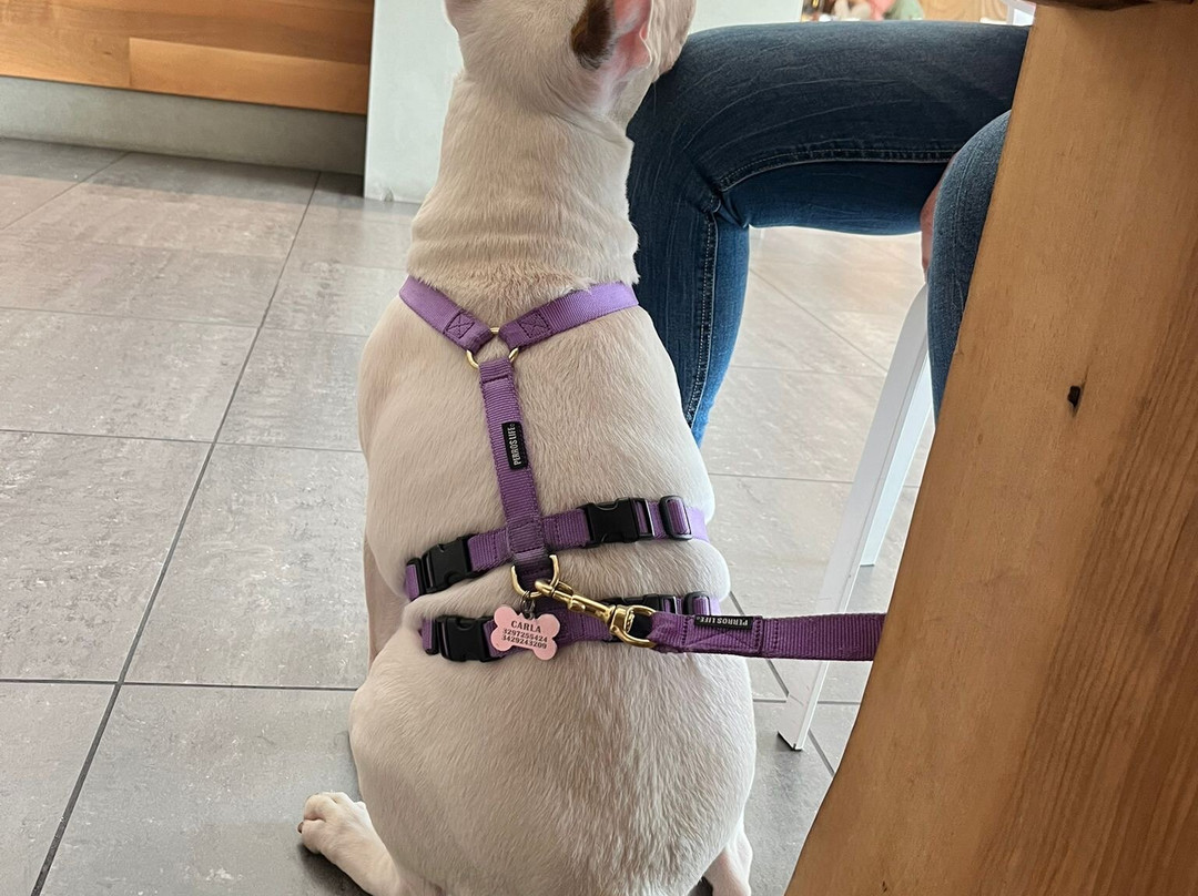 UNA HOTELS Le Terrazze Treviso Hotel & Residence主图