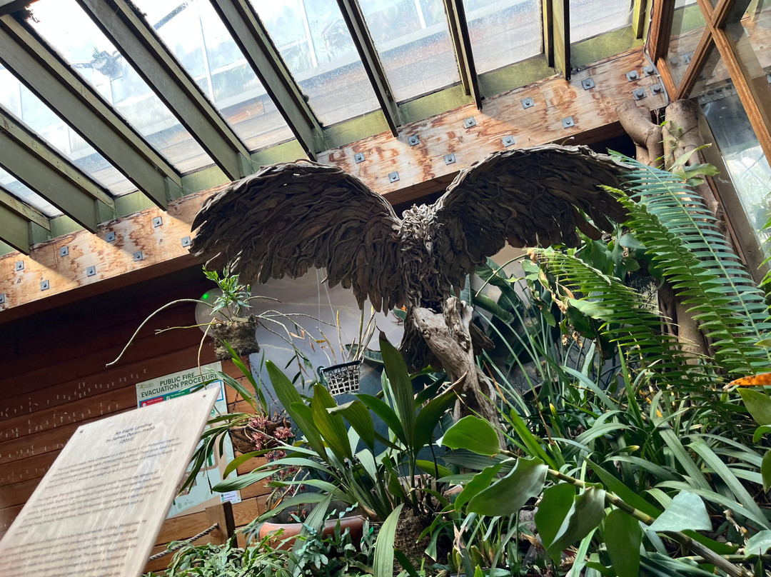The Living Rainforest-纽伯里必去景点