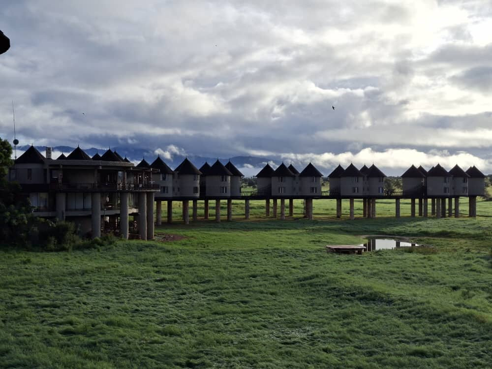 萨尔特利克野生动物园小屋主图