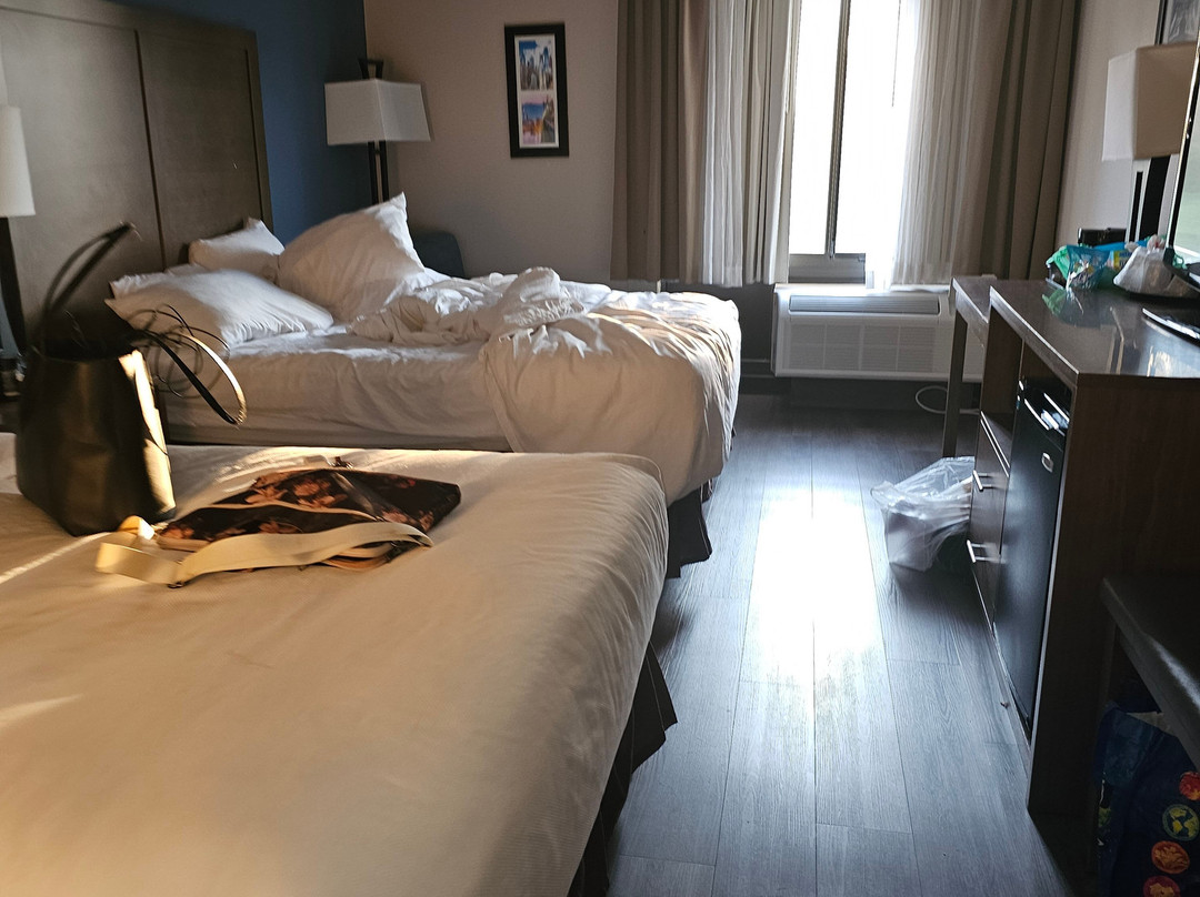 Comfort Inn & Suites Hadley - Amherst主图