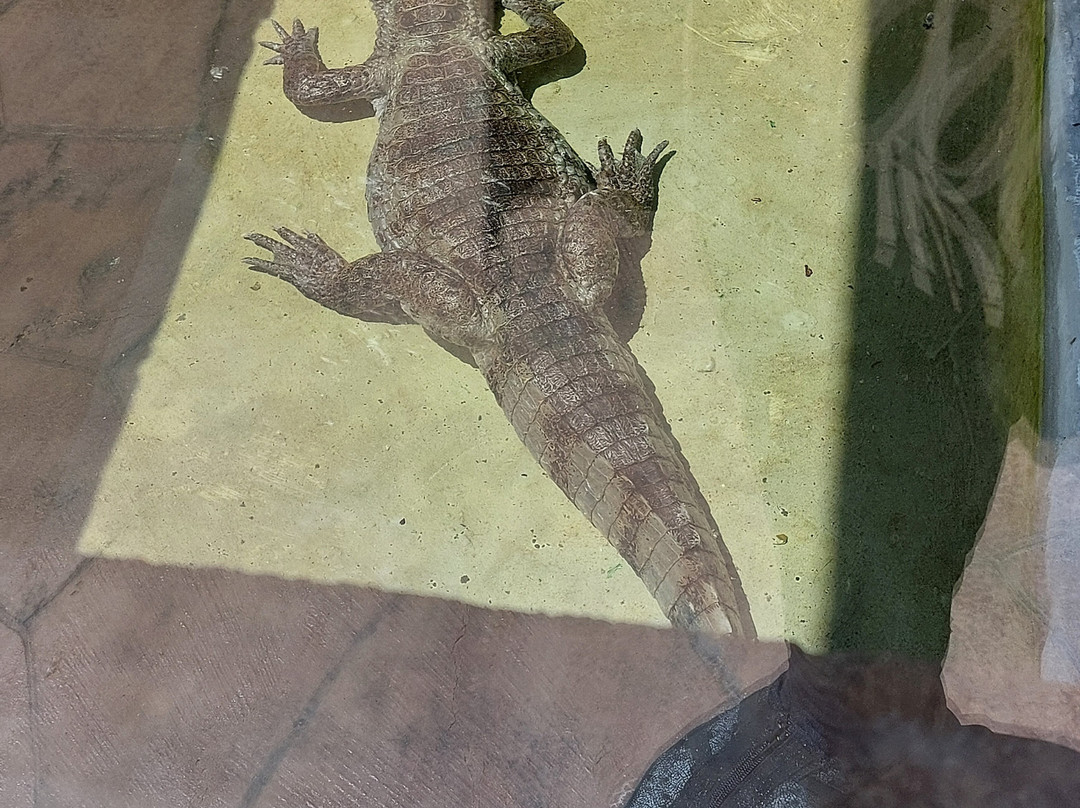 Ocean Aquarium-普它肋斯必去景点