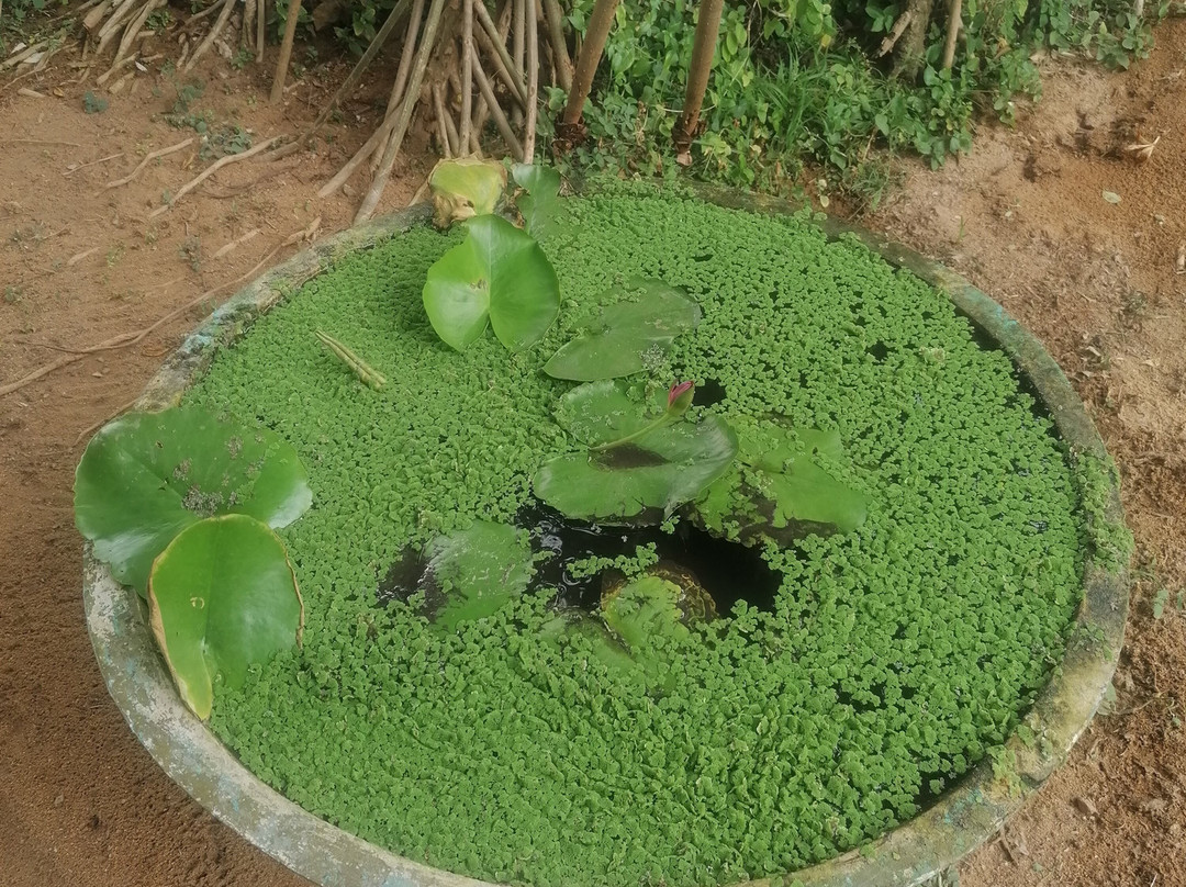 Roman Life Ayurveda Resort主图