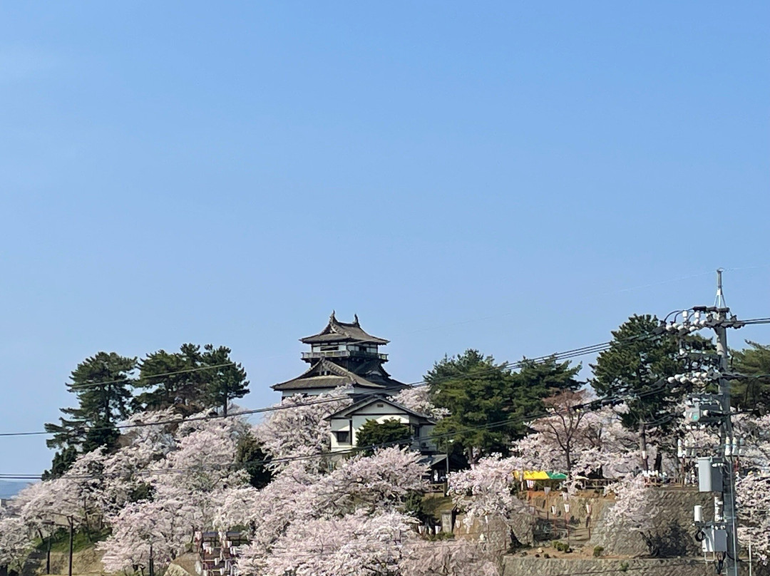 Tegami Museum-坂井市必去景点