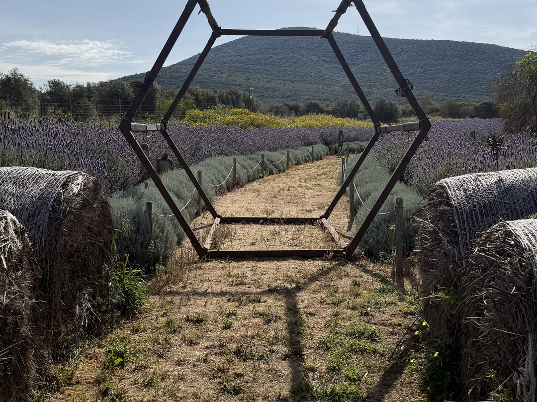 Bee Garden Alghero-阿尔盖罗必去景点
