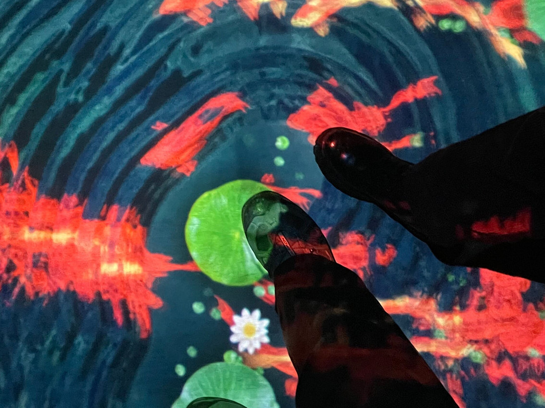 Sensorica Immersive Museum-基希讷乌必去景点
