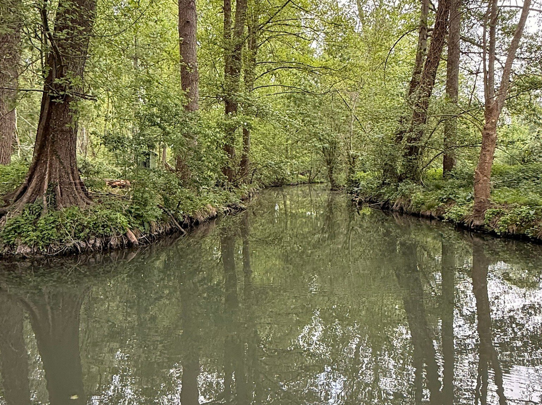 Embarcadere Cardinaud - Marais poitevin-Nouvelle-Aquitaine必去景点