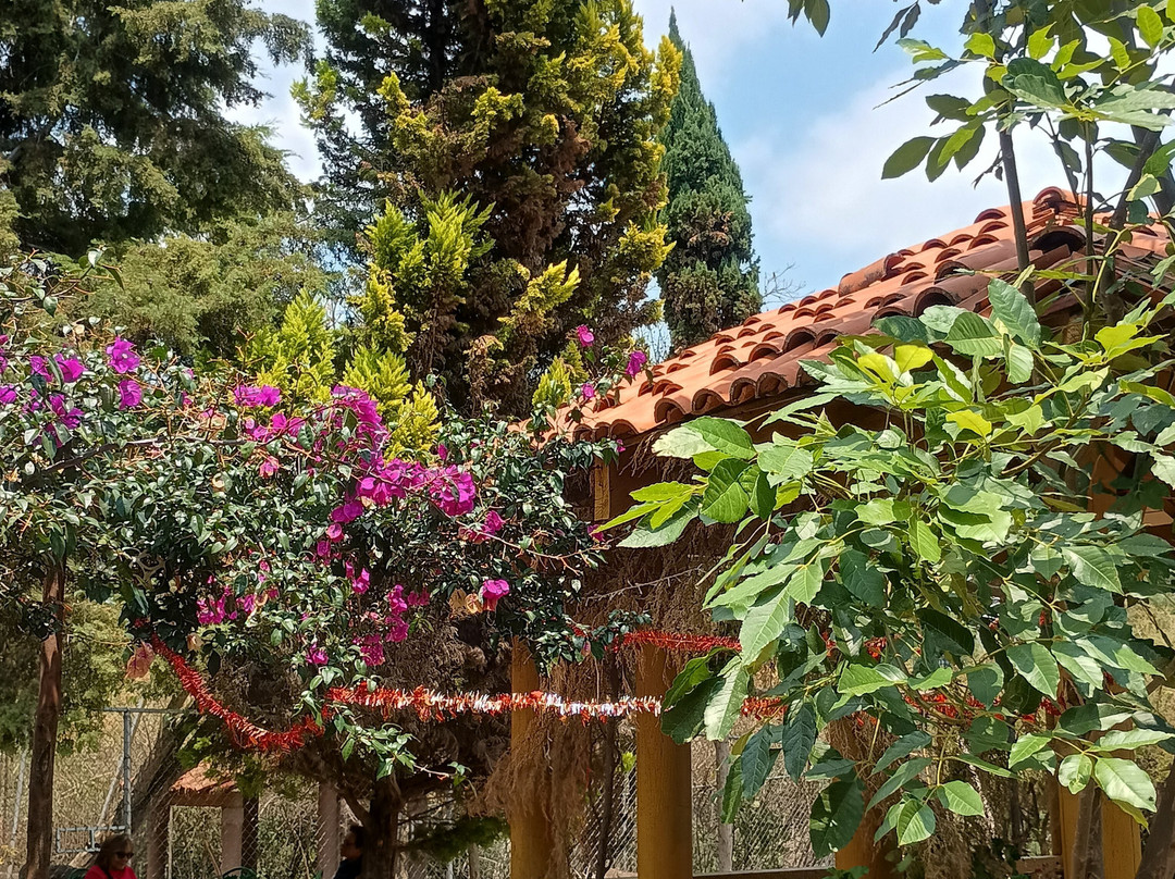 Nepopualco Parque de los Venados-Cuautla必去景点