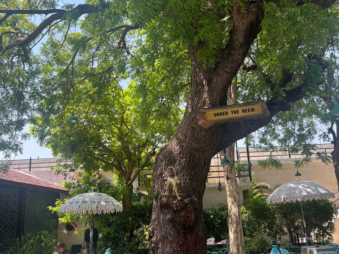 生命之树Darbargadh，Dared主图