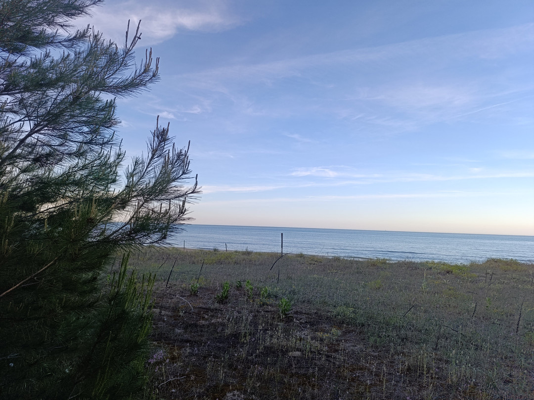 Eucaliptus Beach da Cilli-Pineto必去景点