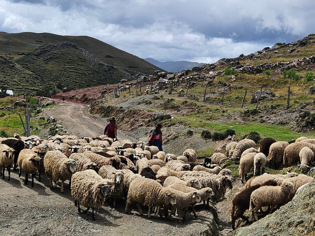 Bike Tours Cusco-库斯科必去景点