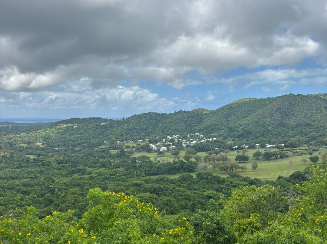 Carambola Zip Line-Frederiksted必去景点