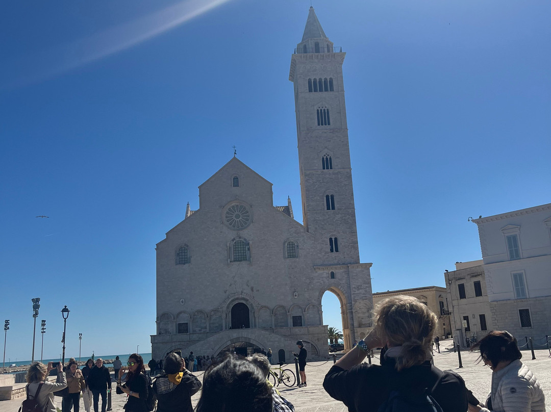 Cattedrale di Trani-特拉尼必去景点
