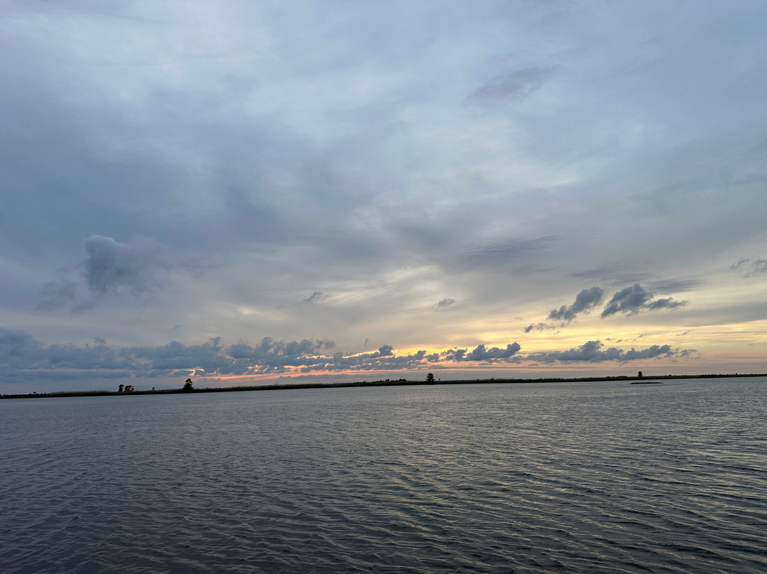 Airboat Express - Tours-Spanish Fort必去景点