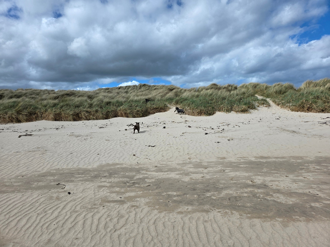 Beadnell Bay Beach-Beadnell必去景点