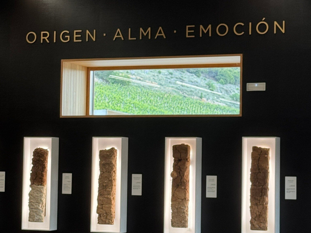 Pago de Carraovejas Winery-Penafiel必去景点