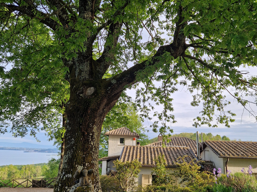 La Montagnola Retreat主图