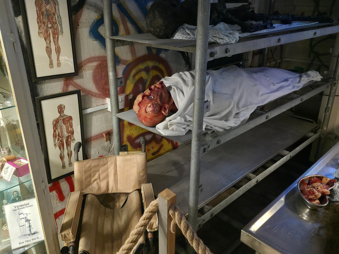 The Museum Of Curiosities-诺丁汉必去景点