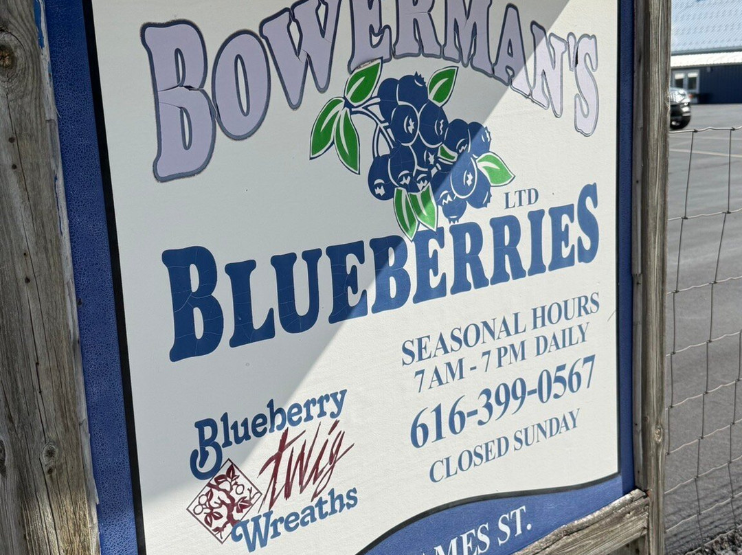 Bowerman Blueberries Farm Market-荷兰村必去景点